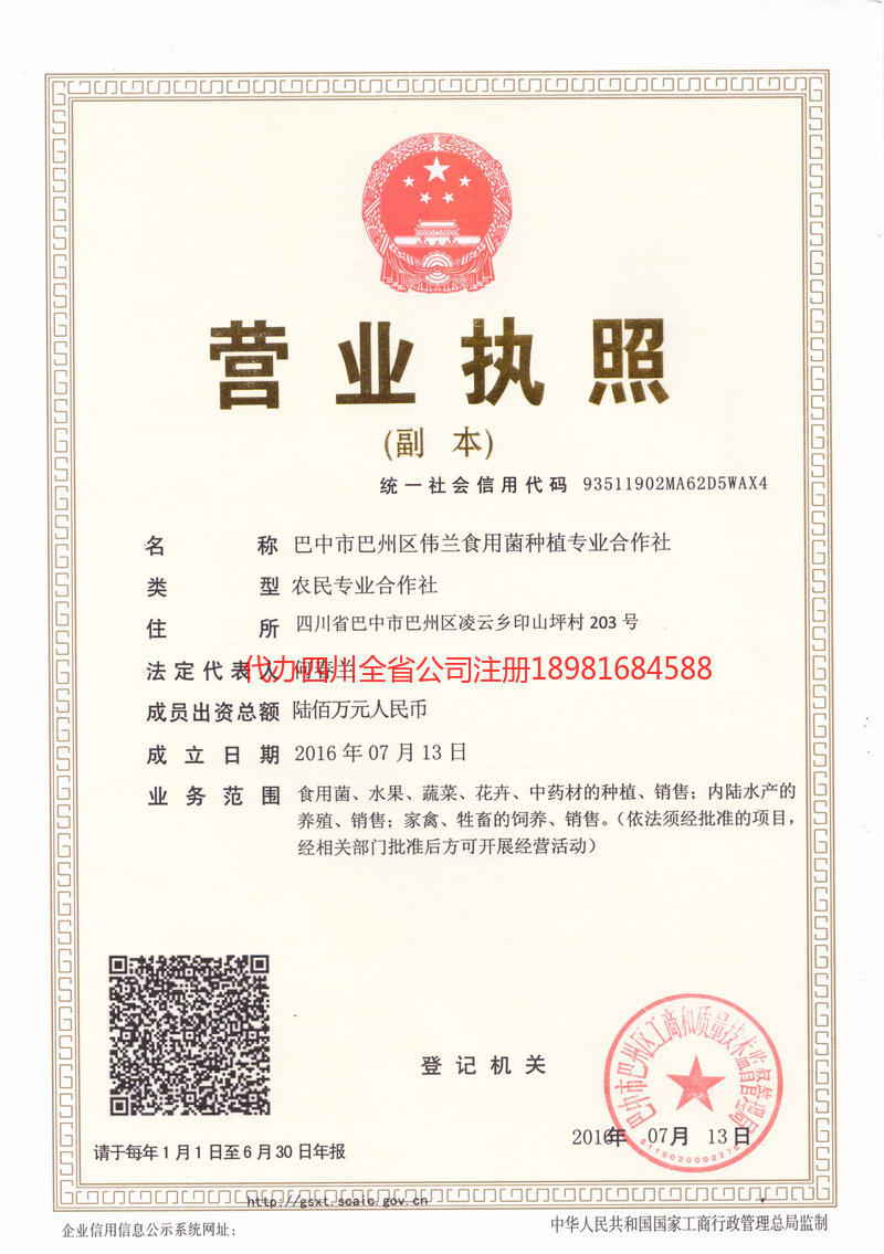 仪陇仪陇伟兰食用菌种植专业合作社